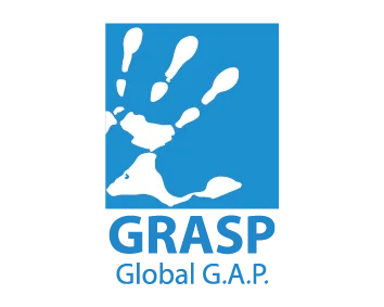 GRASP Certification